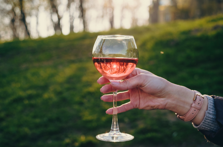 Les vins rosés des Côtes de Provence pour vos moments de relaxation